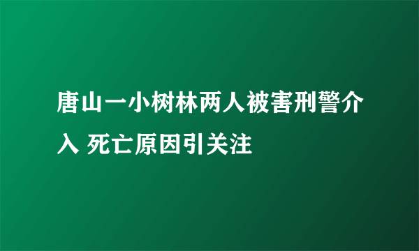 唐山一小树林两人被害刑警介入 死亡原因引关注