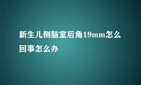 新生儿侧脑室后角19mm怎么回事怎么办