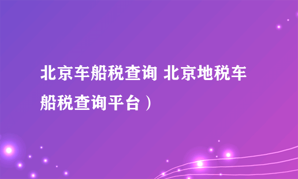 北京车船税查询 北京地税车船税查询平台）