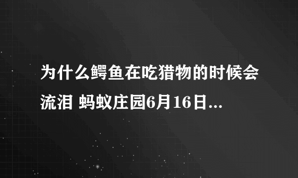 为什么鳄鱼在吃猎物的时候会流泪 蚂蚁庄园6月16日答案为你呈上