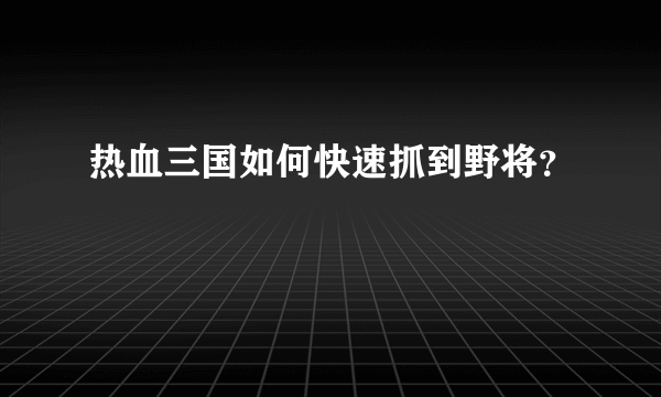 热血三国如何快速抓到野将？