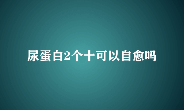 尿蛋白2个十可以自愈吗