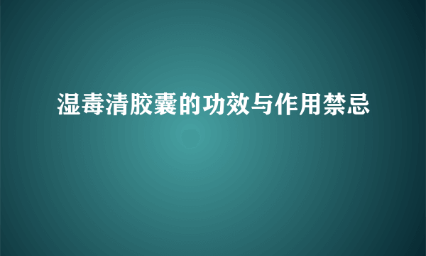 湿毒清胶囊的功效与作用禁忌