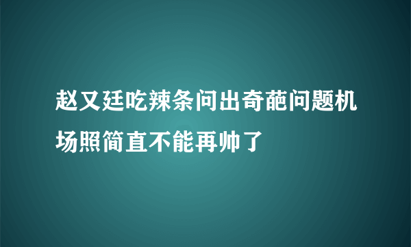 赵又廷吃辣条问出奇葩问题机场照简直不能再帅了