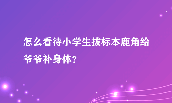 怎么看待小学生拔标本鹿角给爷爷补身体？