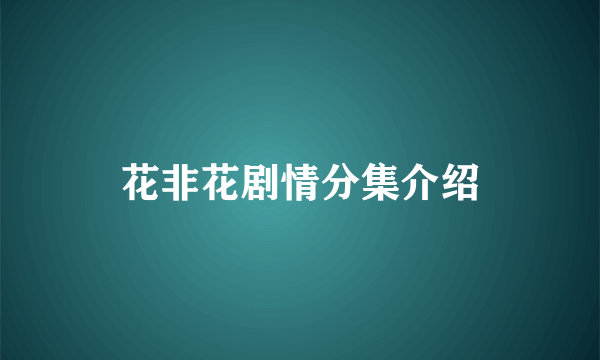 花非花剧情分集介绍