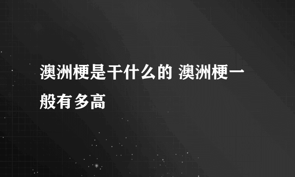 澳洲梗是干什么的 澳洲梗一般有多高