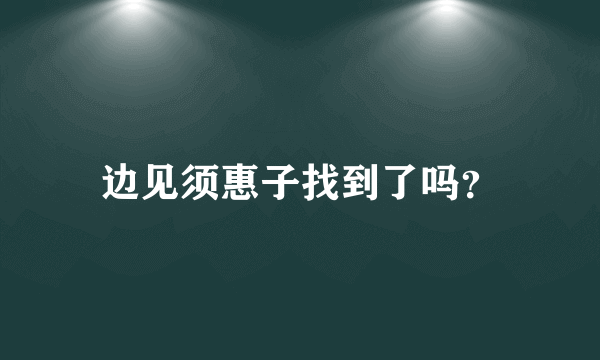 边见须惠子找到了吗？