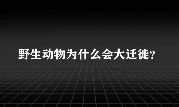 野生动物为什么会大迁徙？