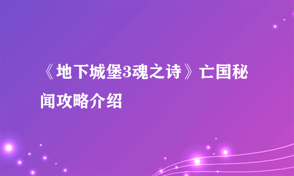 《地下城堡3魂之诗》亡国秘闻攻略介绍