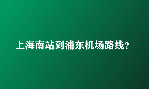 上海南站到浦东机场路线？