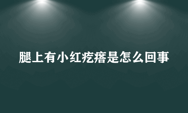 腿上有小红疙瘩是怎么回事