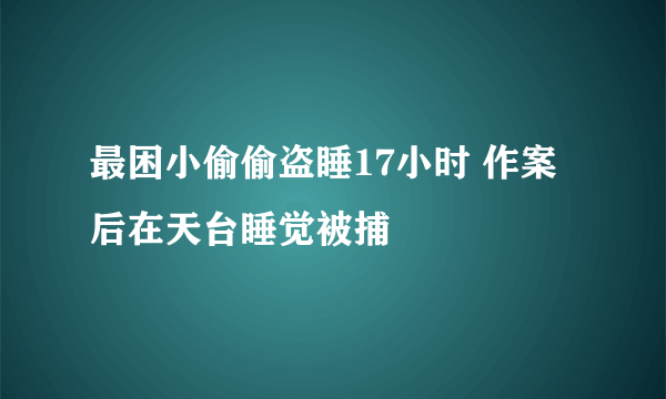 最困小偷偷盗睡17小时 作案后在天台睡觉被捕