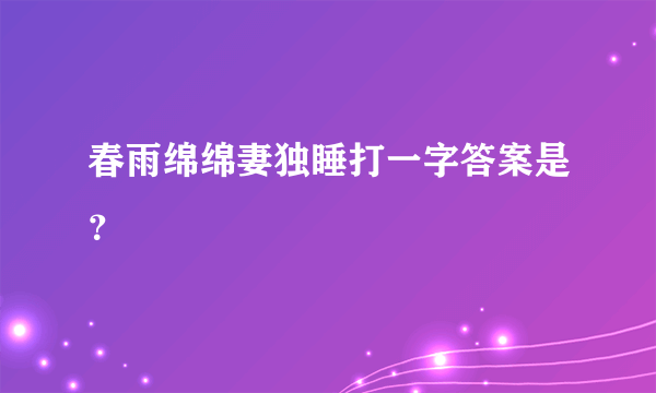 春雨绵绵妻独睡打一字答案是？