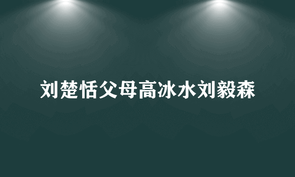 刘楚恬父母高冰水刘毅森