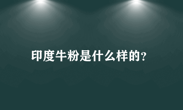 印度牛粉是什么样的？