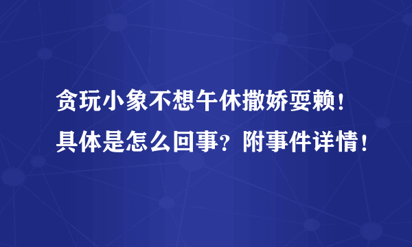 贪玩小象不想午休撒娇耍赖！具体是怎么回事？附事件详情！