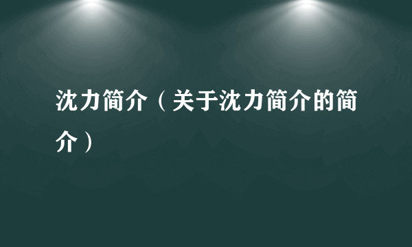 沈力简介（关于沈力简介的简介）