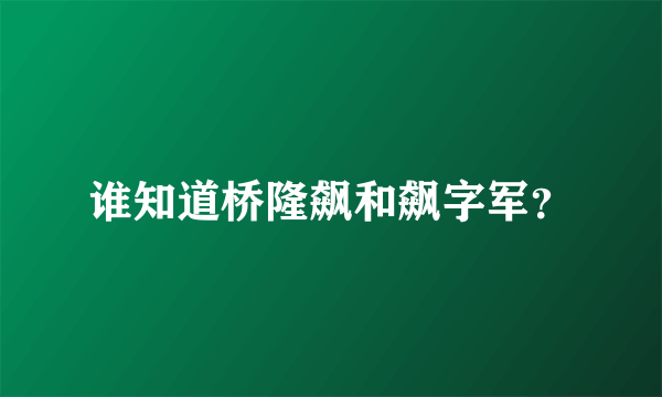 谁知道桥隆飙和飙字军？