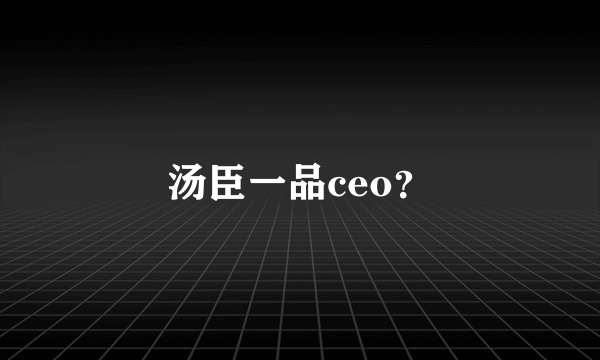 汤臣一品ceo？