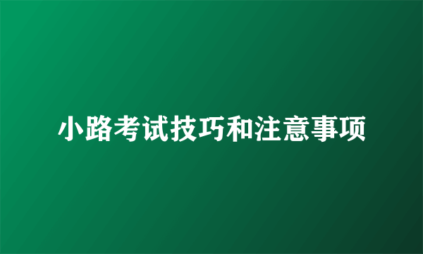 小路考试技巧和注意事项