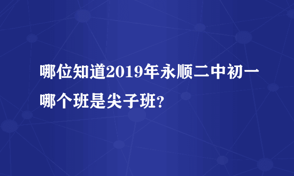 哪位知道2019年永顺二中初一哪个班是尖子班？