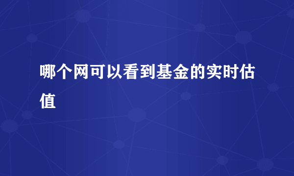 哪个网可以看到基金的实时估值