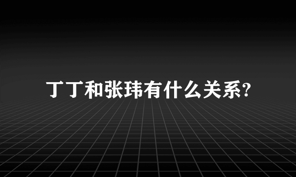 丁丁和张玮有什么关系?