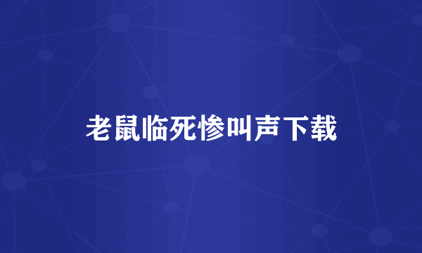 老鼠临死惨叫声下载