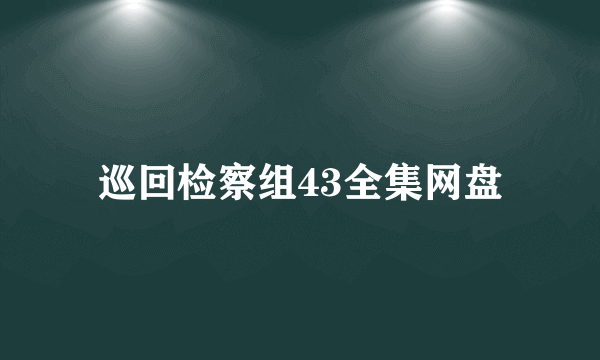 巡回检察组43全集网盘