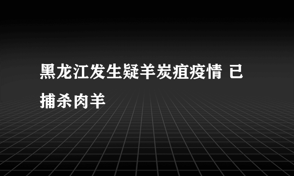 黑龙江发生疑羊炭疽疫情 已捕杀肉羊