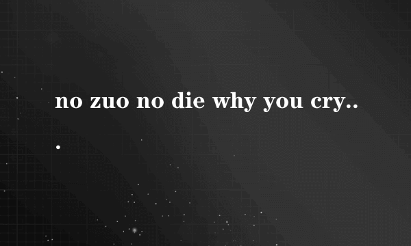 no zuo no die why you cry 的下一句是什么，求多版本