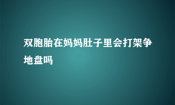 双胞胎在妈妈肚子里会打架争地盘吗