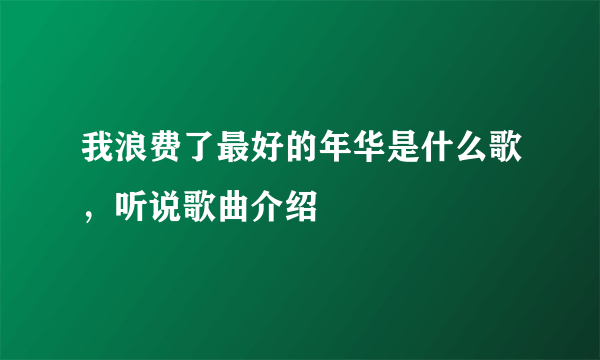 我浪费了最好的年华是什么歌，听说歌曲介绍