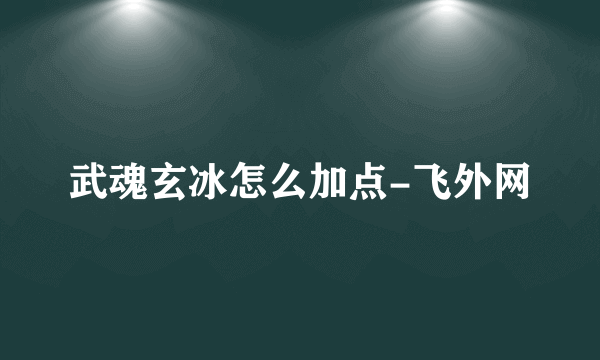 武魂玄冰怎么加点-飞外网