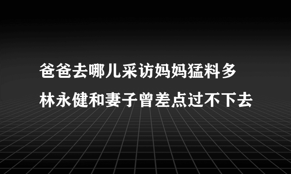 爸爸去哪儿采访妈妈猛料多 林永健和妻子曾差点过不下去