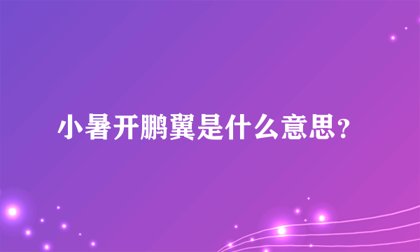 小暑开鹏翼是什么意思？