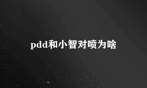 pdd和小智对喷为啥