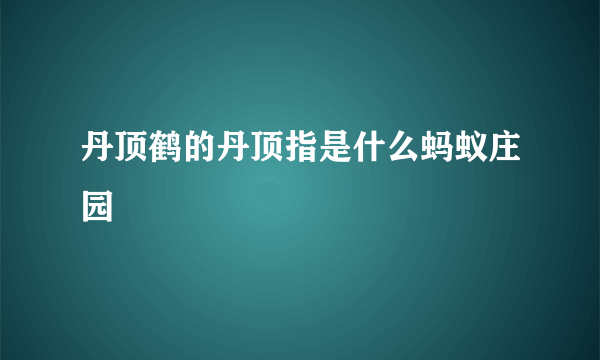 丹顶鹤的丹顶指是什么蚂蚁庄园