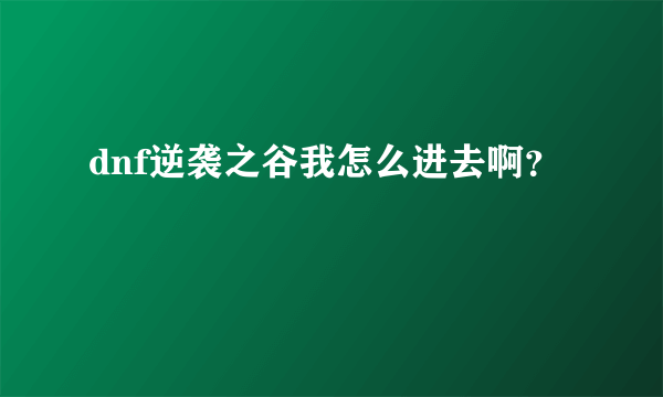 dnf逆袭之谷我怎么进去啊？