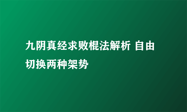 九阴真经求败棍法解析 自由切换两种架势