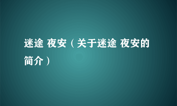 迷途 夜安（关于迷途 夜安的简介）