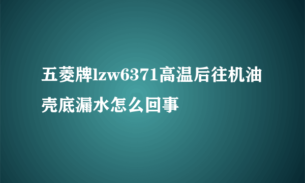 五菱牌lzw6371高温后往机油壳底漏水怎么回事