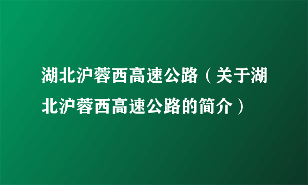 湖北沪蓉西高速公路（关于湖北沪蓉西高速公路的简介）