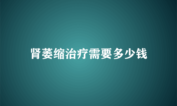 肾萎缩治疗需要多少钱