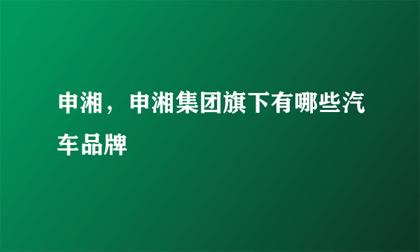 申湘，申湘集团旗下有哪些汽车品牌