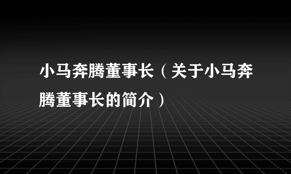 小马奔腾董事长（关于小马奔腾董事长的简介）