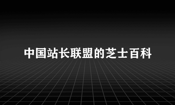 中国站长联盟的芝士百科