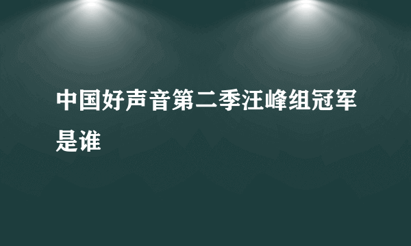 中国好声音第二季汪峰组冠军是谁