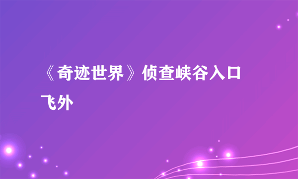 《奇迹世界》侦查峡谷入口–飞外